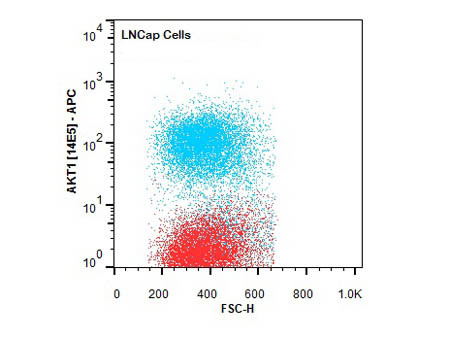 AKT1 Antibody in Flow Cytometry (Flow)