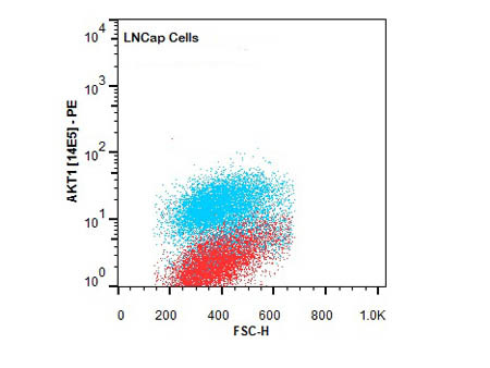 AKT1 Antibody in Flow Cytometry (Flow)