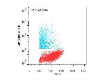 AKT3 Antibody in Flow Cytometry (Flow)