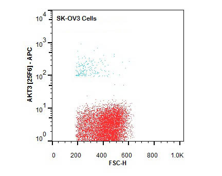 AKT3 Antibody in Flow Cytometry (Flow)