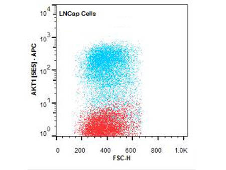 AKT1 Antibody in Flow Cytometry (Flow)