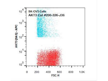 AKT3 Antibody in Flow Cytometry (Flow)