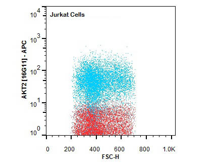 AKT2 Antibody in Flow Cytometry (Flow)