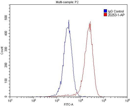 IGF2R Antibody in Flow Cytometry (Flow)