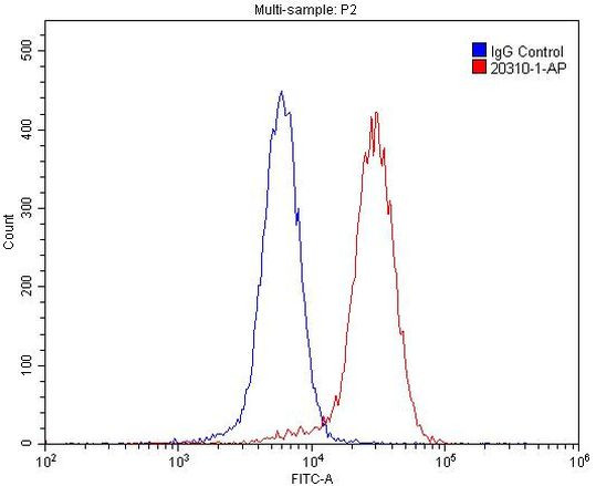 DRD5 Antibody in Flow Cytometry (Flow)