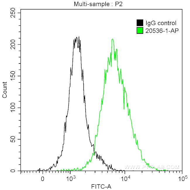 beta Actin Antibody in Flow Cytometry (Flow)