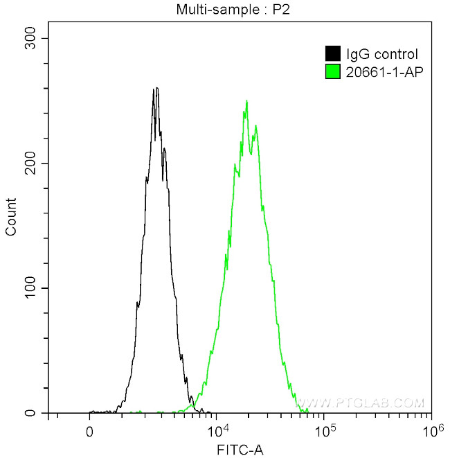 MARCKS Antibody in Flow Cytometry (Flow)