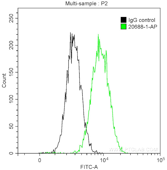 PAWR Antibody in Flow Cytometry (Flow)