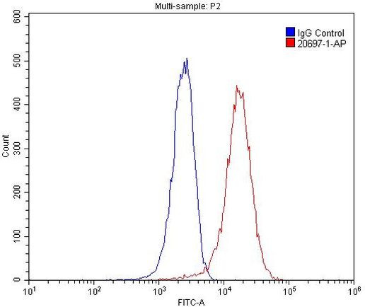 SHH Antibody in Flow Cytometry (Flow)