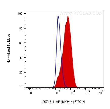 MYH14 Antibody in Flow Cytometry (Flow)