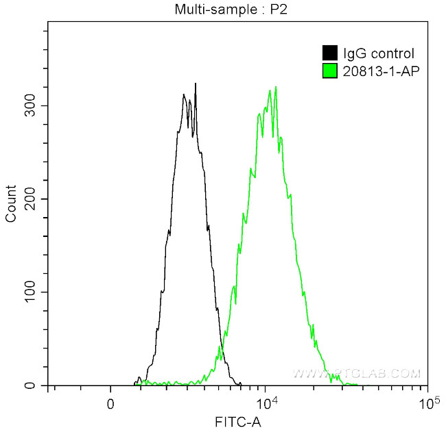 KDM1 Antibody in Flow Cytometry (Flow)