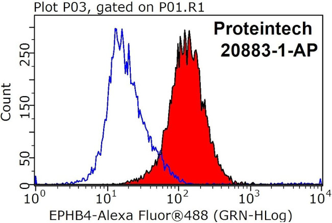 EPHB4 Antibody in Flow Cytometry (Flow)