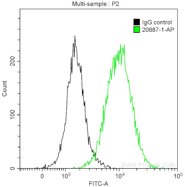 Caldesmon Antibody in Flow Cytometry (Flow)