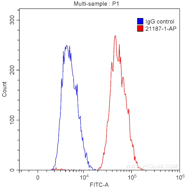 BCL6 Antibody in Flow Cytometry (Flow)