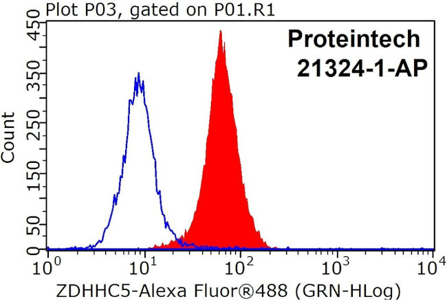 ZDHHC5 Antibody in Flow Cytometry (Flow)