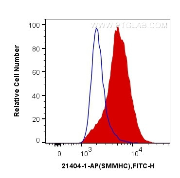 SMMHC Antibody in Flow Cytometry (Flow)