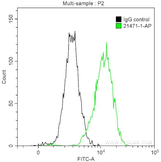 NF-H Antibody in Flow Cytometry (Flow)