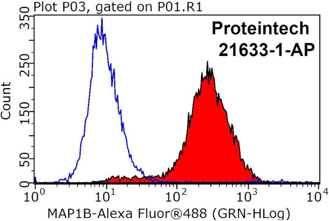 MAP1B Antibody in Flow Cytometry (Flow)