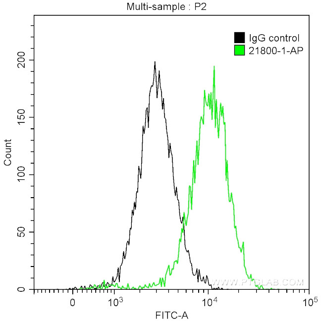 EZH2 Antibody in Flow Cytometry (Flow)