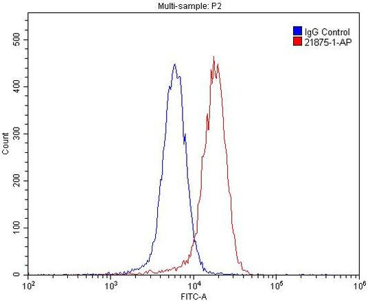 EPHA4 Antibody in Flow Cytometry (Flow)