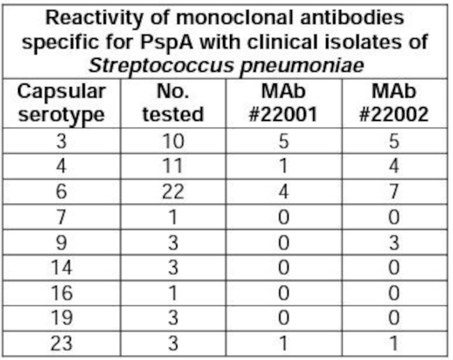 Streptococcus pneumoniae Antibody in ELISA (ELISA)