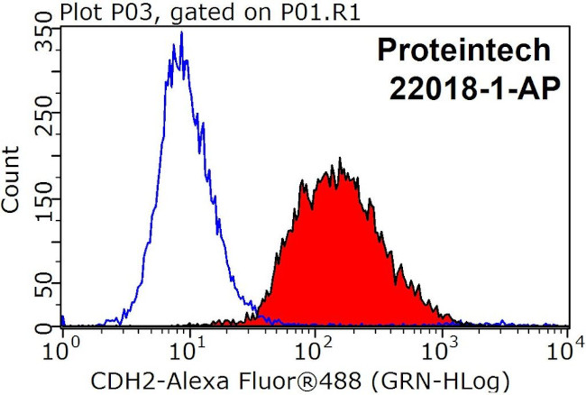 N-cadherin Antibody in Flow Cytometry (Flow)