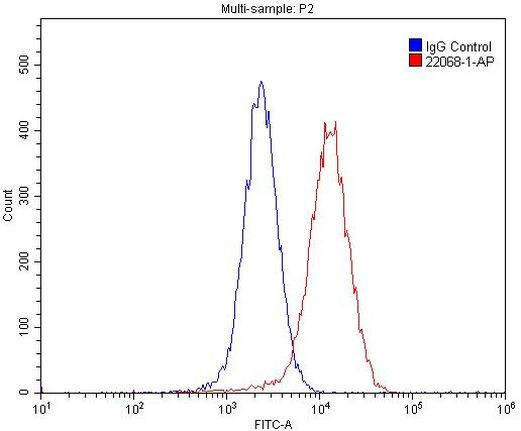 UNC5A Antibody in Flow Cytometry (Flow)