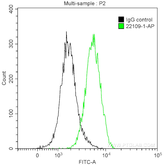 ALDH1A1 Antibody in Flow Cytometry (Flow)