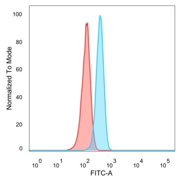 FOXL1/Forkhead Box Protein L1 (Transcription Factor) Antibody in Flow Cytometry (Flow)