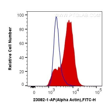 alpha Actin Antibody in Flow Cytometry (Flow)