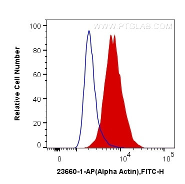 alpha Actin Antibody in Flow Cytometry (Flow)