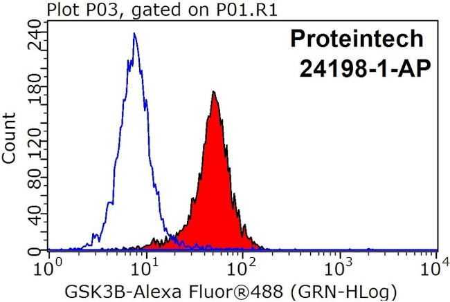 GSK3B Antibody in Flow Cytometry (Flow)