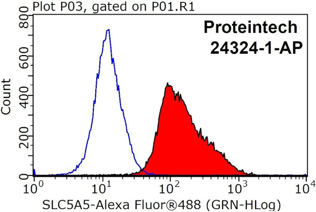 Sodium Iodide Symporter Antibody in Flow Cytometry (Flow)