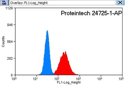 FGFBP3 Antibody in Flow Cytometry (Flow)