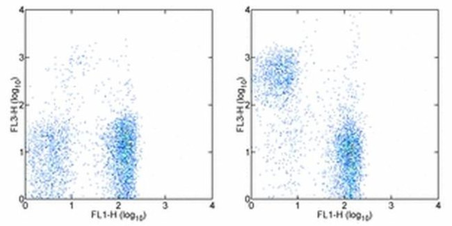 CD5 Antibody in Flow Cytometry (Flow)