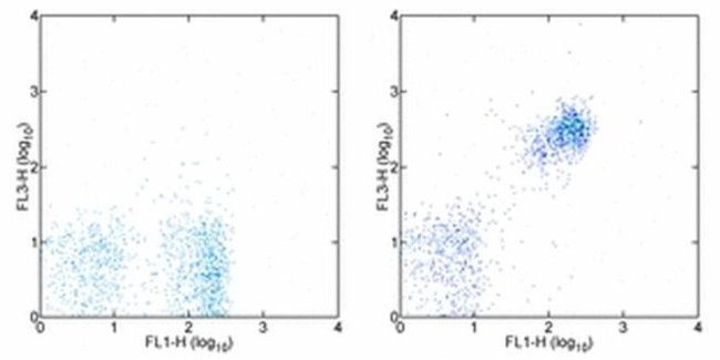 CD19 Antibody in Flow Cytometry (Flow)