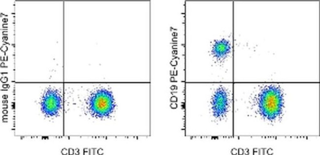 CD19 Antibody in Flow Cytometry (Flow)