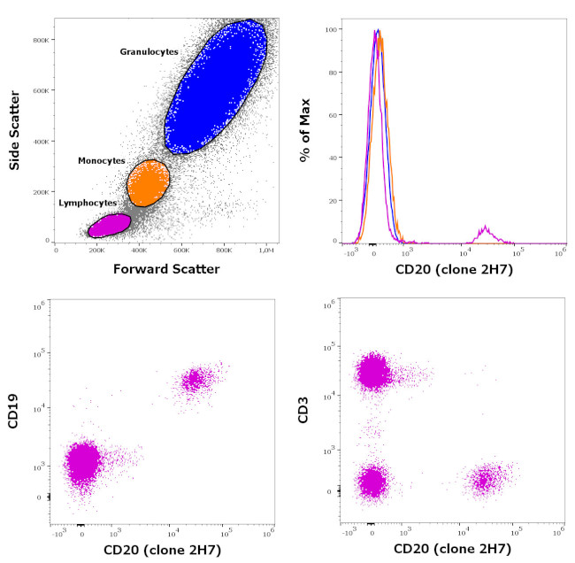 CD20 Antibody in Flow Cytometry (Flow)