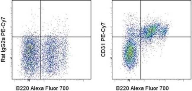 CD31 (PECAM-1) Antibody in Flow Cytometry (Flow)