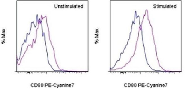 CD80 (B7-1) Antibody in Flow Cytometry (Flow)