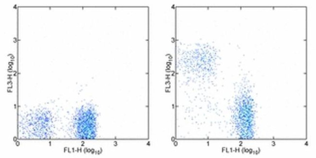 CD90.2 (Thy-1.2) Antibody in Flow Cytometry (Flow)