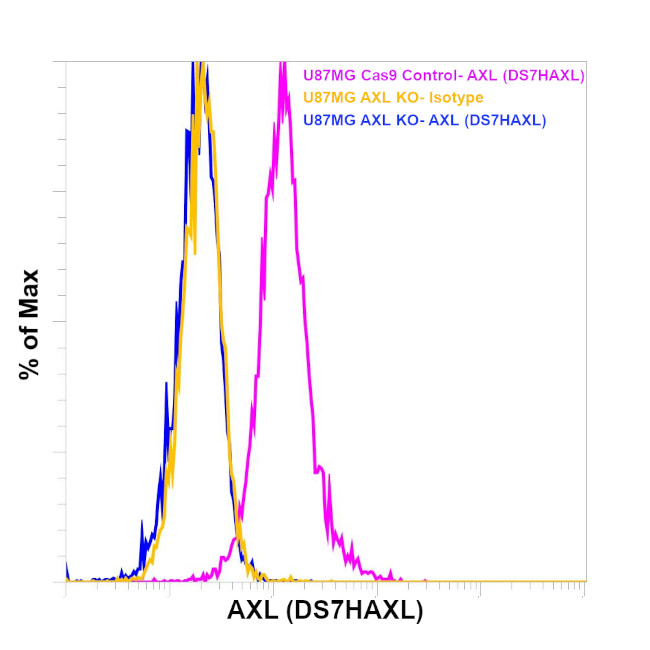 Axl Antibody