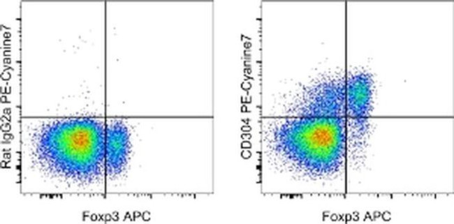 CD304 (Neuropilin-1) Antibody in Flow Cytometry (Flow)