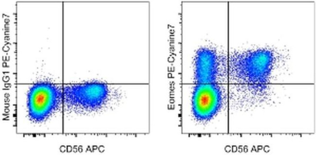 EOMES Antibody in Flow Cytometry (Flow)