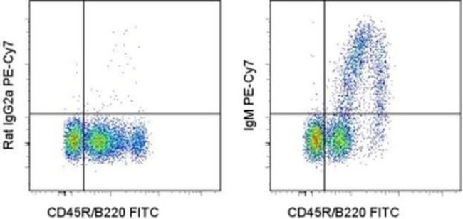 IgM Antibody in Flow Cytometry (Flow)