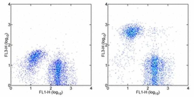 TER-119 Antibody in Flow Cytometry (Flow)