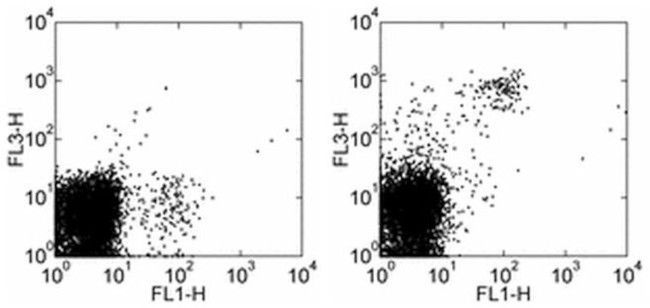 NK1.1 Antibody in Flow Cytometry (Flow)