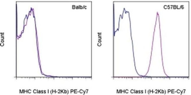 MHC Class I (H-2Kb) Antibody in Flow Cytometry (Flow)