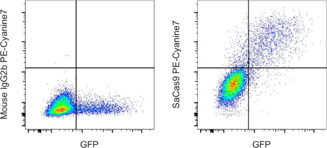 Staphylococcus aureus Cas9 Antibody in Flow Cytometry (Flow)