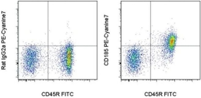 CD185 (CXCR5) Antibody in Flow Cytometry (Flow)